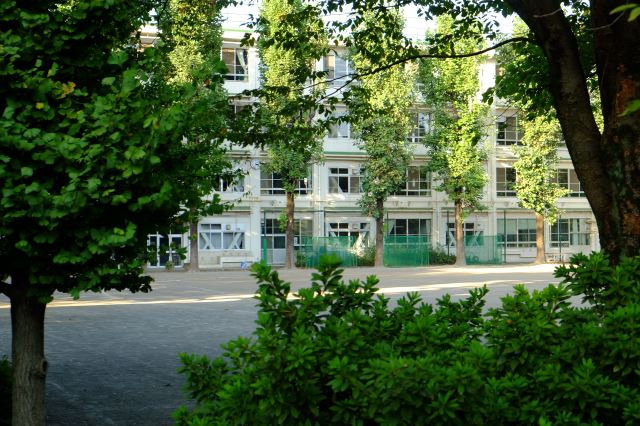中学校　市立花小金井南中学校（中学校）まで150m