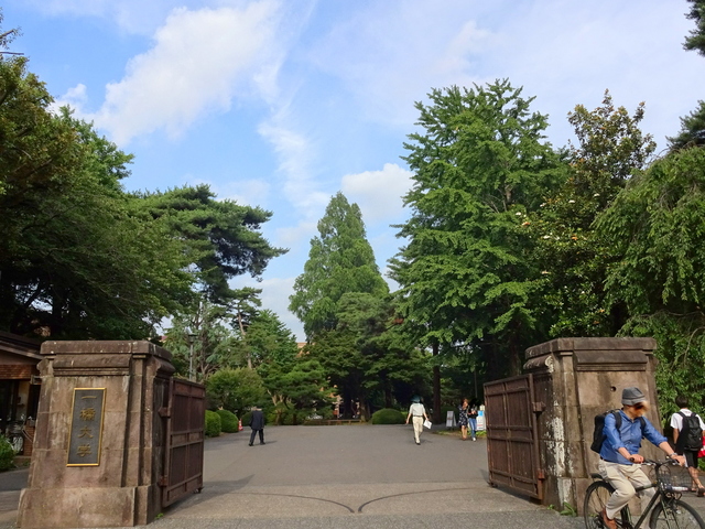 大学・短大　国立一橋大学（大学・短大）まで1340m