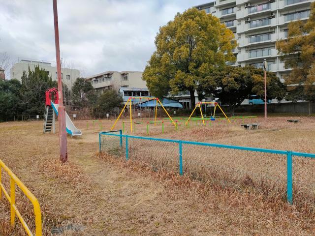 公園　白水公園（公園）まで273m