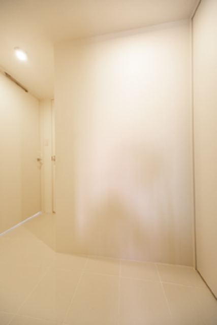 玄関　※写真は同タイプ住戸です。