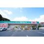 ドラックストア　ドラッグセイムス　浦和岸町店（ドラッグストア）まで1600m