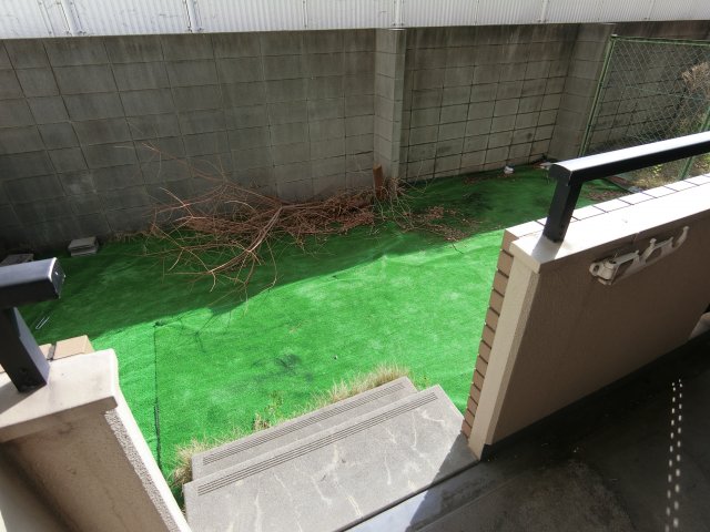 庭