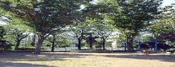 公園　一本橋公園（公園）まで276m