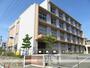 小学校　白脇小学校（小学校）まで781m