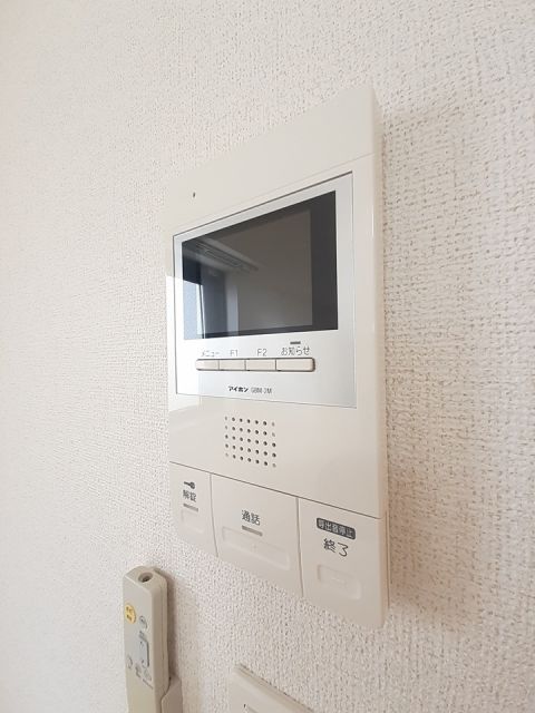 プラシードのその他写真