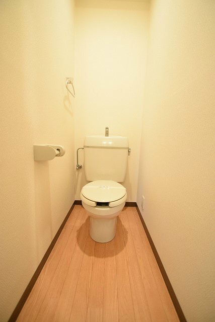 メゾン青龍館のトイレ写真