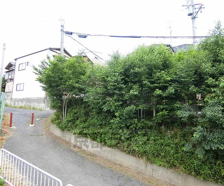 【向日市上植野町のマンションの眺望】