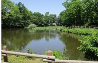 公園　菊名池公園（公園）まで817m