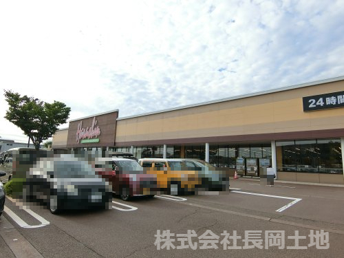 スーパー　原信 川崎店（スーパー）まで602m