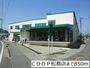 スーパー　COOP松島店（スーパー）まで850m