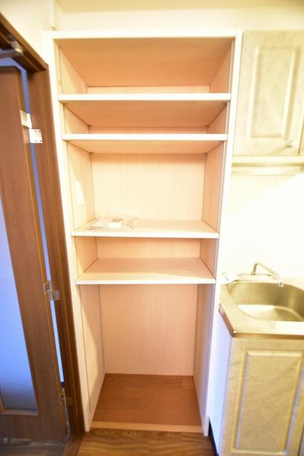 収納　冷蔵庫置き場や電子レンジ置き場さらには、食器棚として使える収