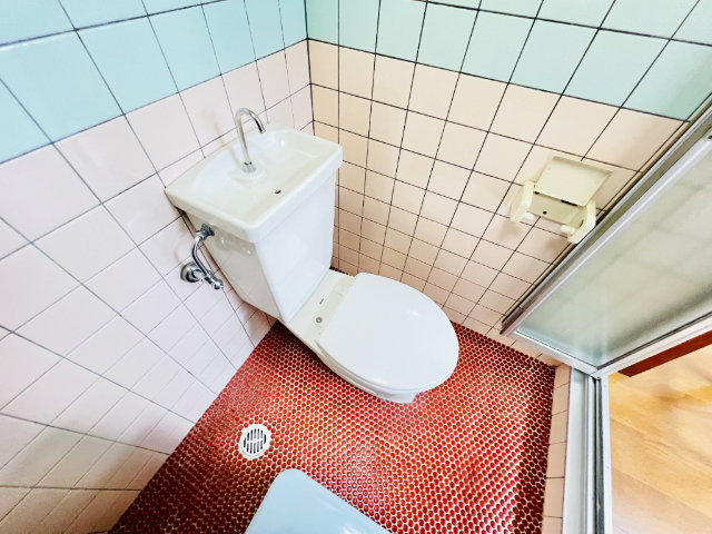 トイレ　スッキリしたトイレ