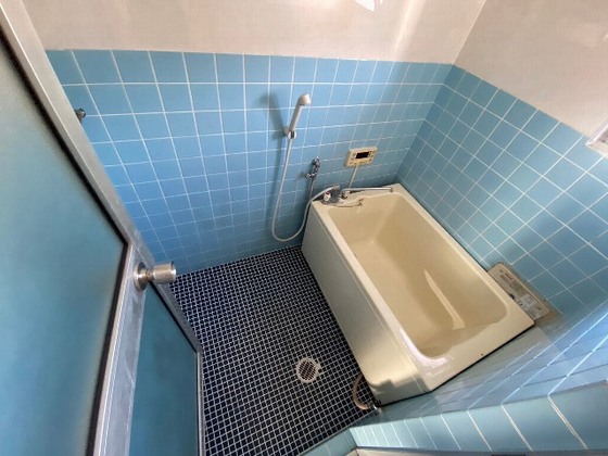 バス・シャワールーム　※別部屋の写真です