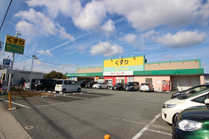 ドラックストア　サーバー（ドラッグストア）まで700m