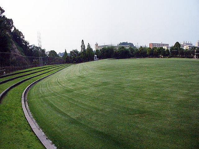 公園　長浜公園（公園）まで604m