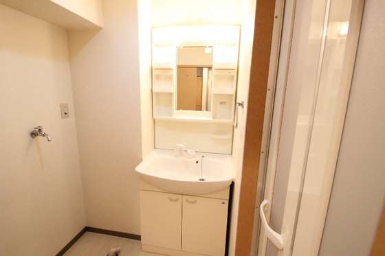 洗面設備　※別号室の写真です。