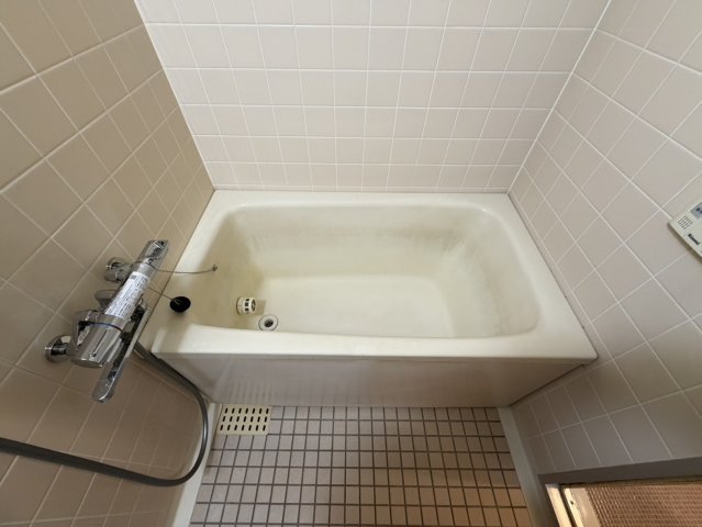 バス・シャワールーム　落ち着いた空間のお風呂です