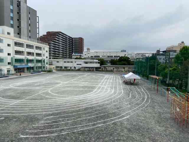 小学校　南陽小学校（小学校）まで270m