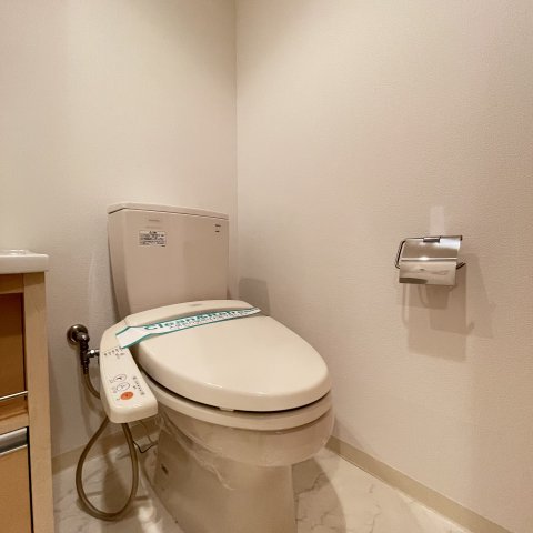 トイレ　同仕様タイプです