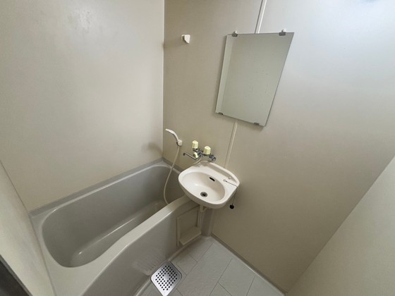 バス・シャワールーム　※別部屋の写真です