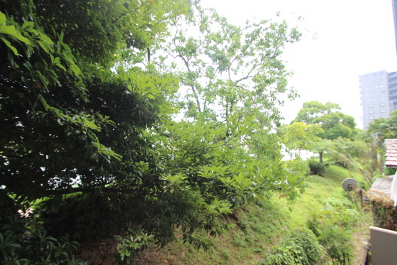 眺望　※他部屋の写真です。