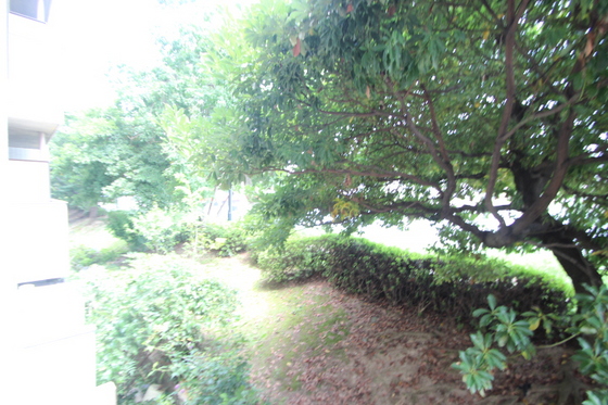 眺望　※他部屋の写真です。