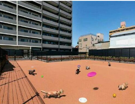 その他設備　ペット共用部