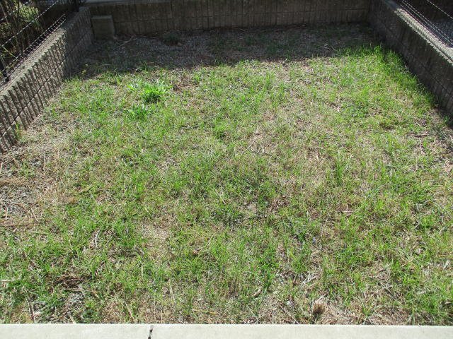 バルコニー　庭