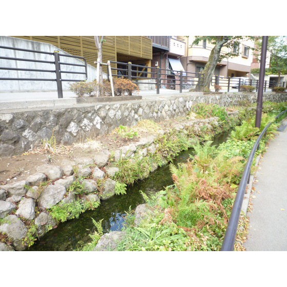 公園　北沢川緑道（公園）まで424m