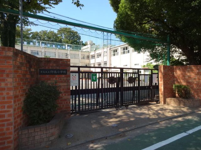 小学校　豊島区立仰高小学校（小学校）まで119m