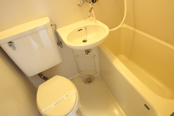 バス・シャワールーム　※別部屋の写真です