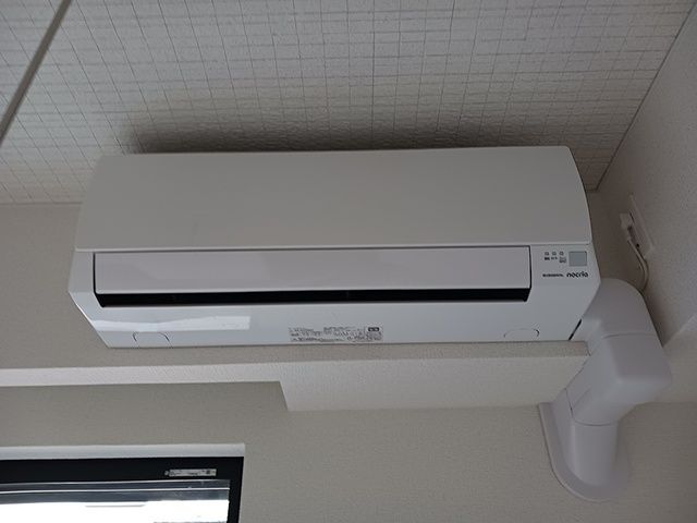リッシュのその他写真