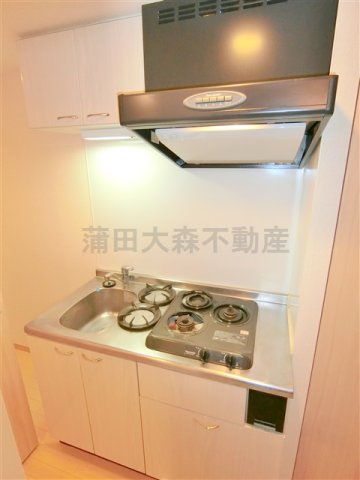 キッチン　2口ガスシステムキッチン