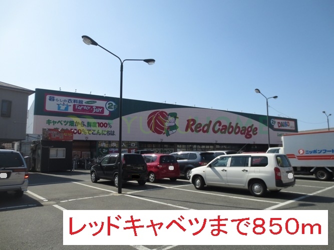 その他　レッドキャベツ（その他）まで850m