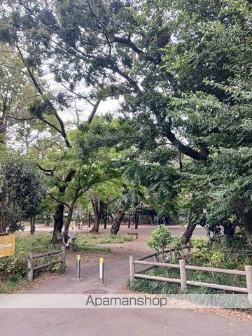 公園　善福寺公園（公園）まで479m