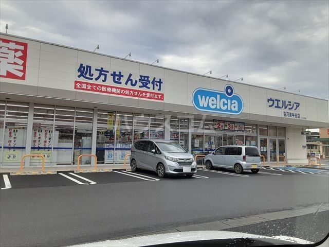 ドラックストア　ウエルシア古河東牛谷店（ドラッグストア）まで1279m