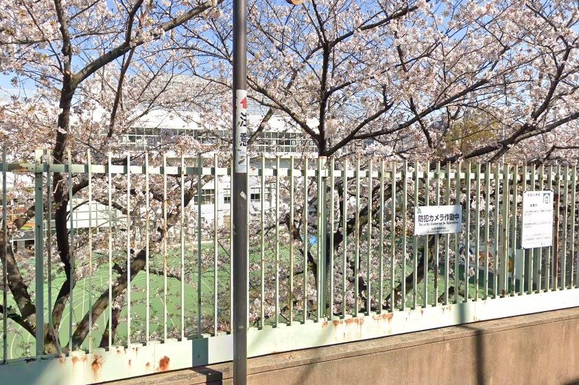 小学校　文京区立汐見小学校（小学校）まで100m