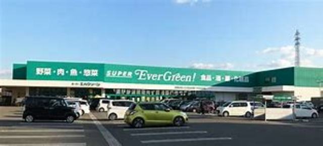ドラックストア　スーパーエバグリーン福島店（ドラッグストア）まで877m