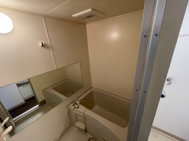 バス・シャワールーム　イメージとして同建物他部屋を表示しています