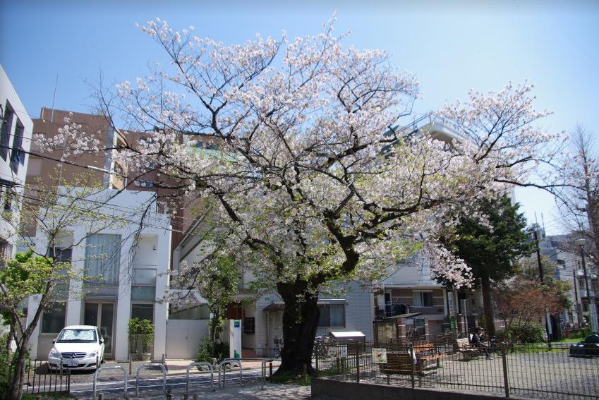 公園　椎名町公園（公園）まで108m