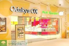 スーパー　OdakyuOX相模大野店（スーパー）まで390m