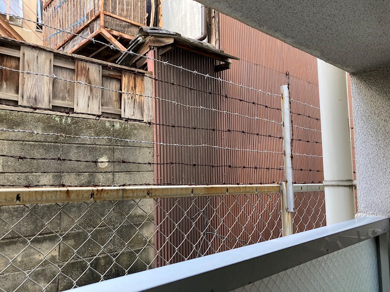 オンジェームKのその他写真