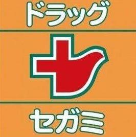 ドラックストア　ドラッグセガミ山本店（ドラッグストア）まで451m