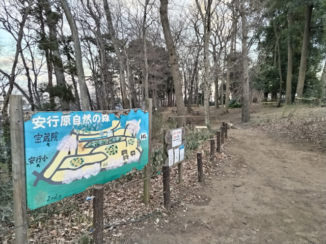 公園　安行原自然の森（公園）まで300m
