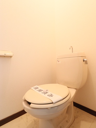 メゾンフラワーBのトイレ写真