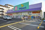 ドラックストア　Welpark(ウェルパーク) 南葛西店（ドラッグストア）まで453m