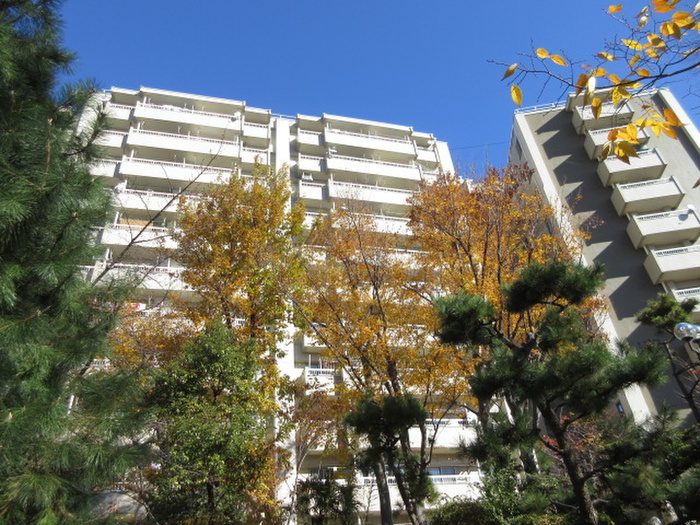西一社第二団地102号棟のその他写真