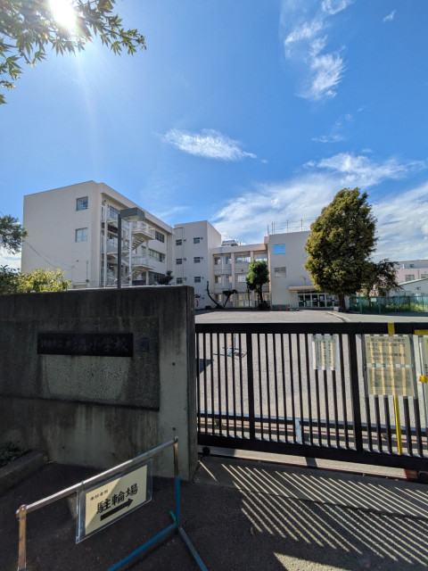 小学校　調布市立杉森小学校（小学校）まで250m