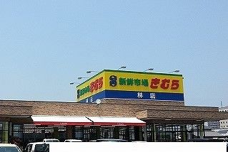 スーパー　新鮮市場きむら林店さん（スーパー）まで600m