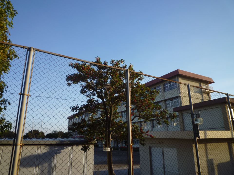 クレールの周辺写真